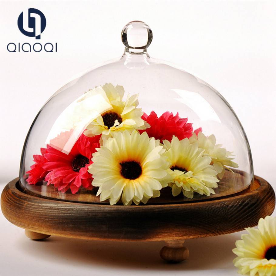 Made in China Wholesale Price Decoration Glass Dome with Wood base