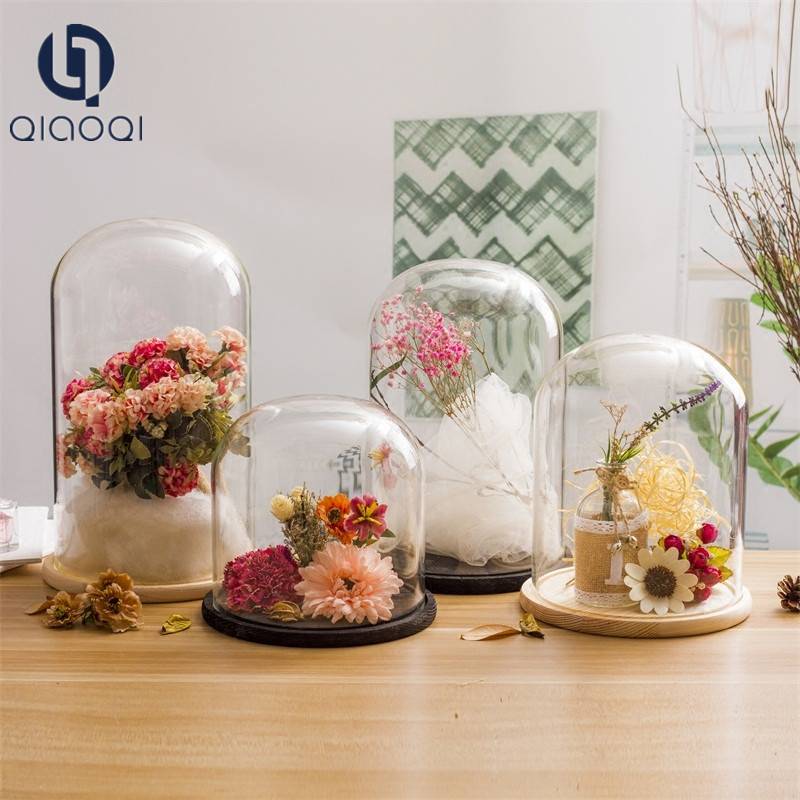originality DIY glass dome with wood base