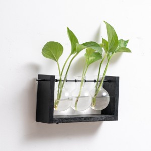 Creative water vase hanging wall-mounted transparent glass living room wall decoration ins style pothos small bottle