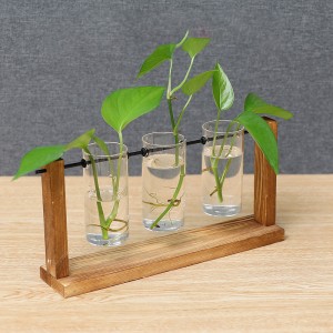 Nordic creative glass vase simple countertop wooden frame hydroponic vase