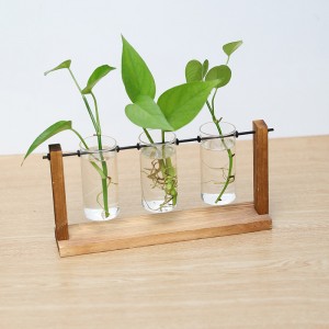 Nordic creative glass vase simple countertop wooden frame hydroponic vase