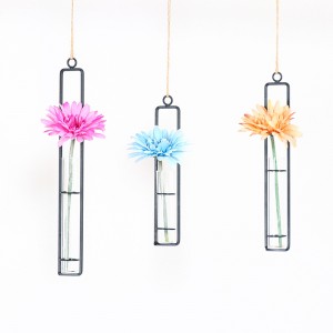 Transparent hanging test tube flower arrangement flask simple home decoration