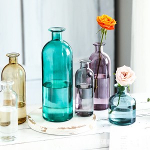 Colored transparent glass vase small mouth glass jar home crafts decoration