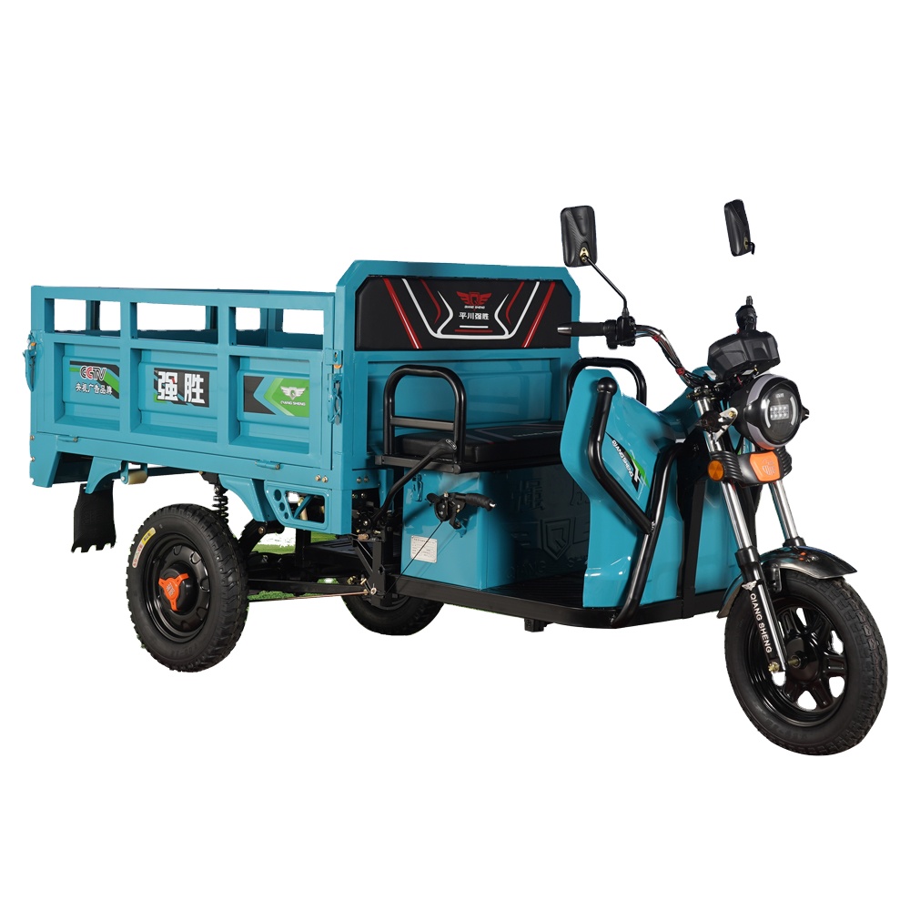 Philippines electric cargo tricycle heavy loading cargo loader fruit electric tricycle for sale