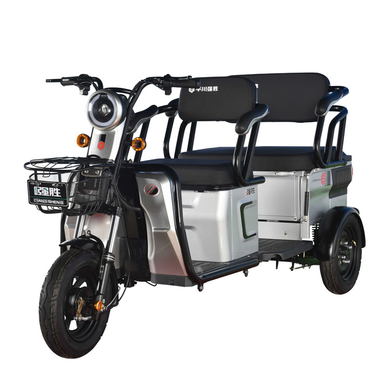 Small Electric Tricycle With Differential Gear Box Tricycle Disabled People With 2 Seats