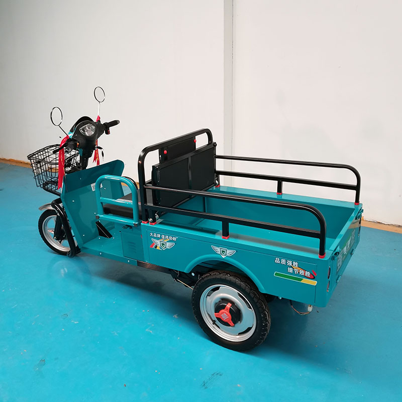 China Wholesale Bajaj Catalog/Pdf Quotes - Cheap Adult Three Wheel Mini Trick Tricycle Electric Mobility Scooter From China Electric Cargo Tricycle Factory – Qiangsheng