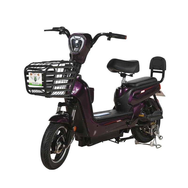 2019 battery electric bike for city roads using