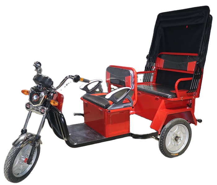 2021 the new design  adult tricycle  for two -passenger 3 wheel electric bicycle