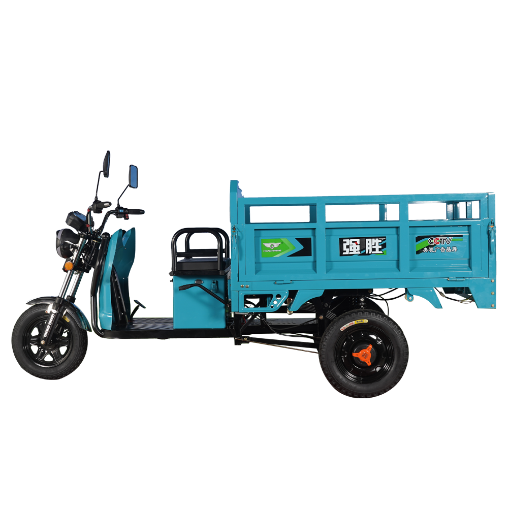 China Wholesale 1000 Watt 3 Wheel Electric Tricycle Factories - Super loading electric tricycle adult battery rickshaw loader made in China – Qiangsheng
