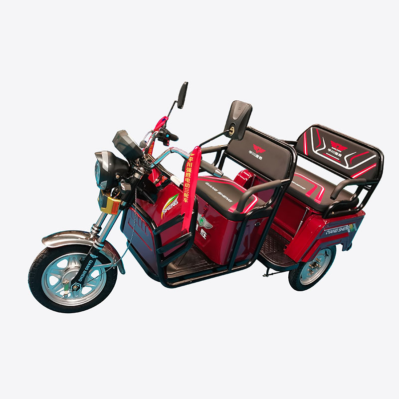 QS-LEAP Passenger and Cargo Transportation Three Wheel Tricycle Electric Family Use Old People Use