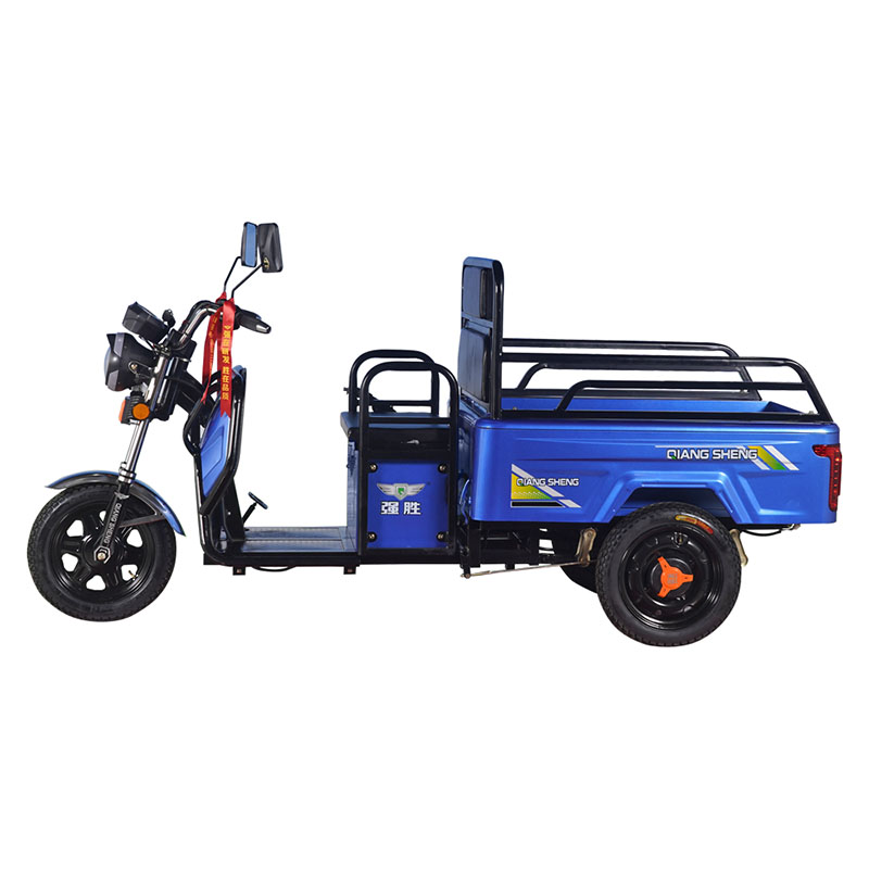 Cheap Electric Cargo Tricycle for Adults Canada 48v 32ah Lead Acid Battery and Charger 40km.