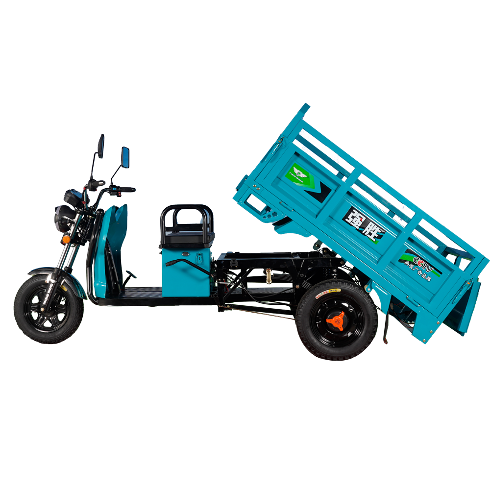 China Wholesale Adult Electric Tricycle Factories - China Supply Electric Auto Rickshaw Easy Operate Electric Tricycle Rickshaw Light Cargo Auto Rickshaw Electric Cargo Loader – Qiangsheng