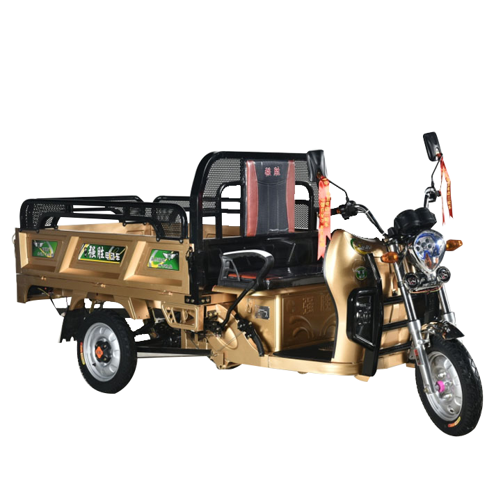Africa Latest Electric Auto Rickshaw Easy Operate Electric Tricycle Rickshaw Light Cargo Auto Rickshaw Electric Cargo Loader