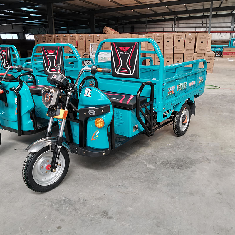 48v/60v 800w Cargo Tricycle Electric Manufacturers  400kg Loading Capacity from China