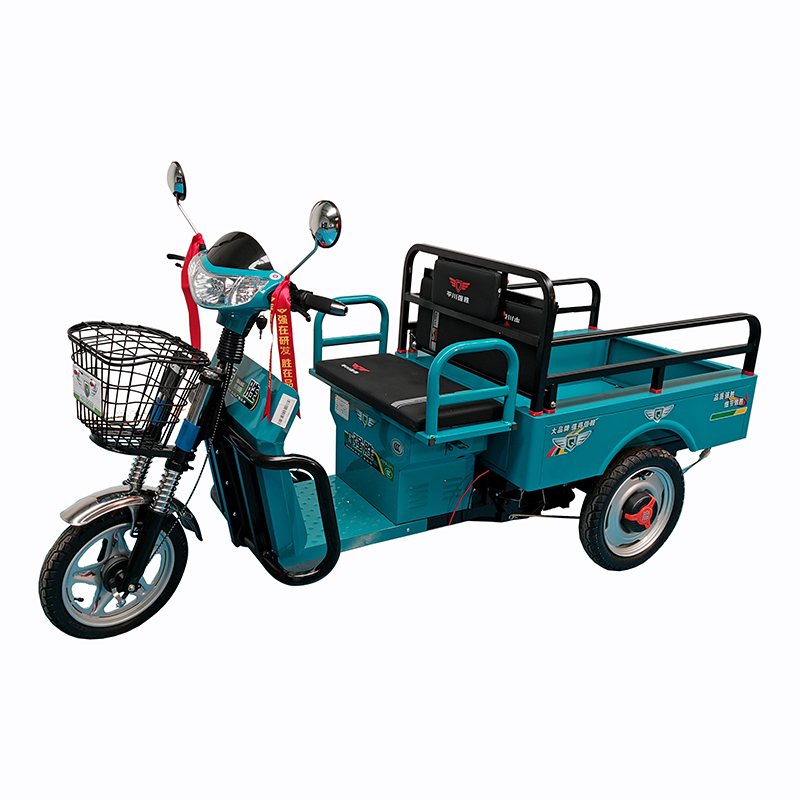 48v 800w Motor China Cargo Tricycle For Sale from E Tricycle for 2 Adults