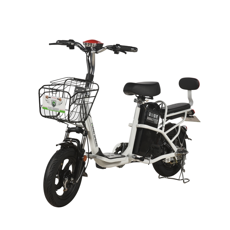 China Wholesale Tuk-Tuks Supplier Quotes - 2019 electric bike scooter pedal Philippine – Qiangsheng