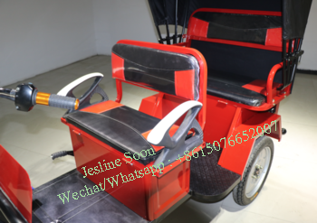 Africa Casual Design Auto Rickshaw Hot Selling Electric Rickshaw Low Maintenance Electric Tricycle Rickshaw For Passenger