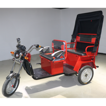 2020 Latest Simple Design Green Power Electric Tricycle Rickshaw