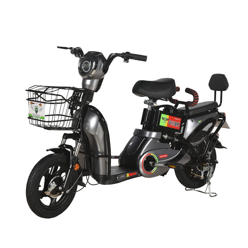2020 battery electric bicycle for adults two seats china