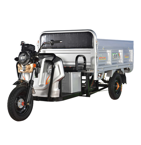 China Wholesale E Rickshaw Specifications Factories - Big motor 1200W Electric tricycle Cargo use with three wheel high loading with three wheel – Qiangsheng