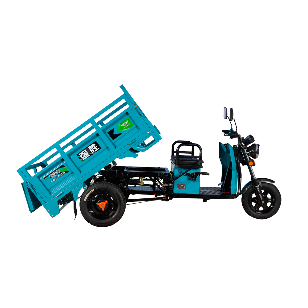 China Wholesale Tuk Tuk E Rickshaw Pricelist - 2021 new  design  electric  cargo trike  MINI  tank  electric cargo rickshaw  small load electric cart – Qiangsheng