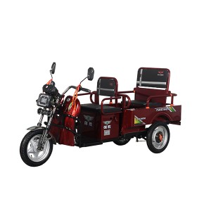 Wholesale new style Three Wheel Mini Scooter high power motor Manned electric tricycle E Trike