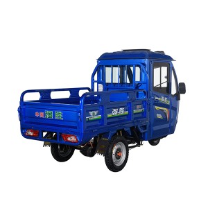 Electric Heavy Duty Business Cargo Carrier closed driving voltage cargo electric tricycle 3 wheeler