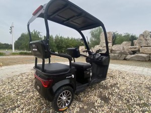 2023 Hot sale electric rickshaw for passenger Eco friendly mini metro e rickshaw Pastoral Leisure mini electric scooter