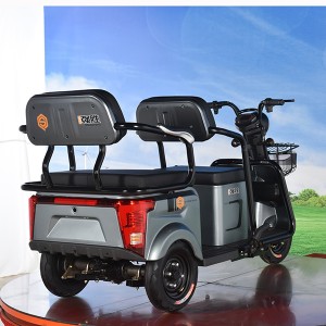 China  factory supply  Mini rickshaw price inpanipat The elderly electric tuk tuk for sale