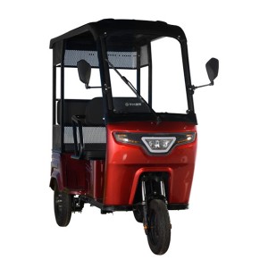 800W mini e tricycle motorcycle fashional electric auto rickshaw for passenger best quality motor taxi tricycle