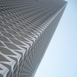 Metalinis fasadas pastatų architektūros apdailai