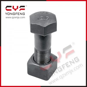 China Hex Flange Black Standard Size High Tensile High Strength Plow Track Shoe Bolts and Nuts