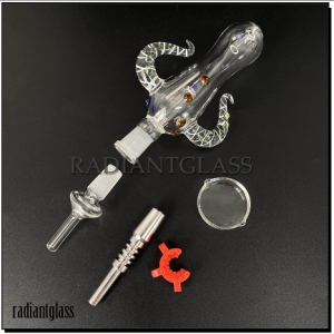 Multifunctional bull head glass Nectar Collector with gift box