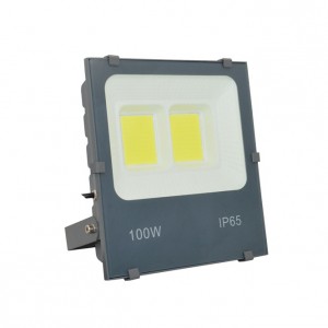 LED Floodlight, RAD-FL203, Die-casting aluminum case+Toughened glass, Isolated Driver 85-265V, PF>0.9,  IP65, 2years Guarantee