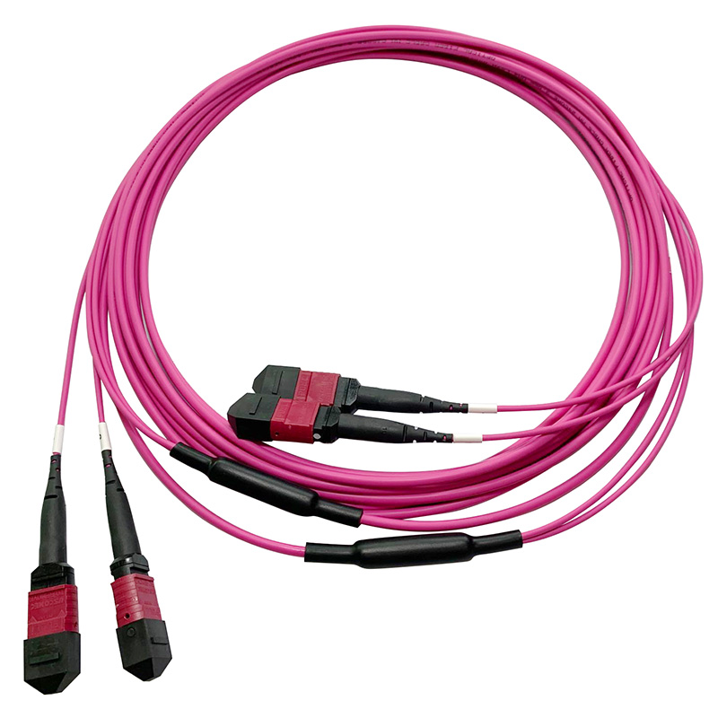 Wholesale MPO To LC Fiber Breakout Cable Manufacturers Suppliers –  2x 12Fibers MTP to 2x 12 Fibers MTP 24 Fibers Multimode OM4 50/125 Breakout Fiber Optical Patch Cord  – RAISE