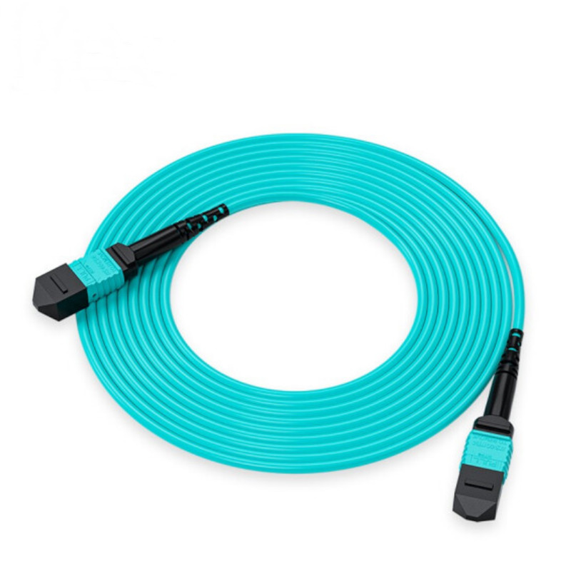Wholesale MTP To LC Breakout Cable Factory –  MTP Multimode 50/125 OM3/OM4 Optic Patch Cord  – RAISE