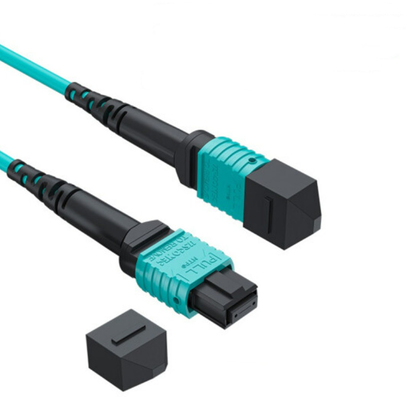 CE Certification MPO Fiber Connector Types Factories –  MTP Multimode 50/125 OM3/OM4 Optic Patch Cord  – RAISE