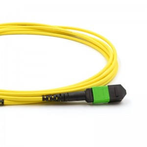 Competitive Price for China MTP/MPO Fiber Optic Cable Patchcord for Data Center