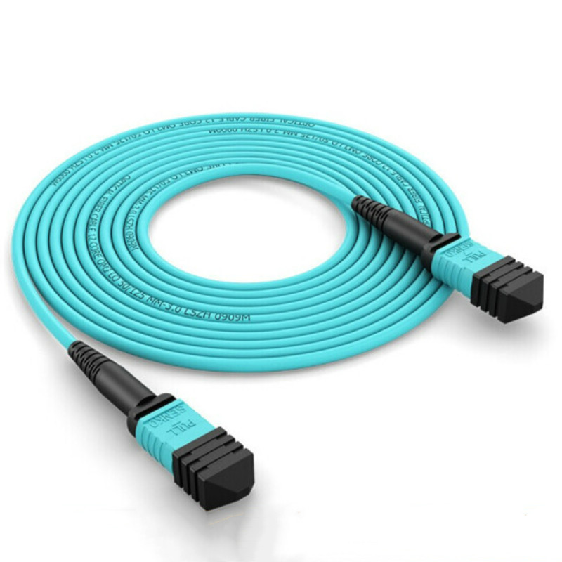 CE Certification MTP 12Fibers Multimode OM3 Manufacturers Suppliers –  MPO Multimode OM3/OM4 50/125 Optic Patch Cord  – RAISE