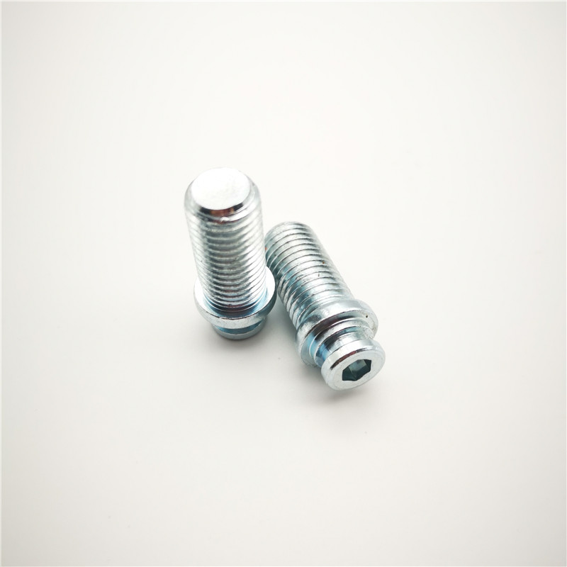 ODM Custom Stainless Steel Parts Suppliers –  Supporting service for all kinds of fasteners – RAISING-Elec detail pictures