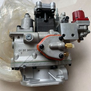 Wholesale Price China Con Rod Bearing - Cummins Engine Part Fuel Pump 3019487/3019488 for Cummins Nta855 Engine  – Raptors