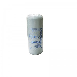 Lube Filter P551807/LF3973 For Donladson Brand