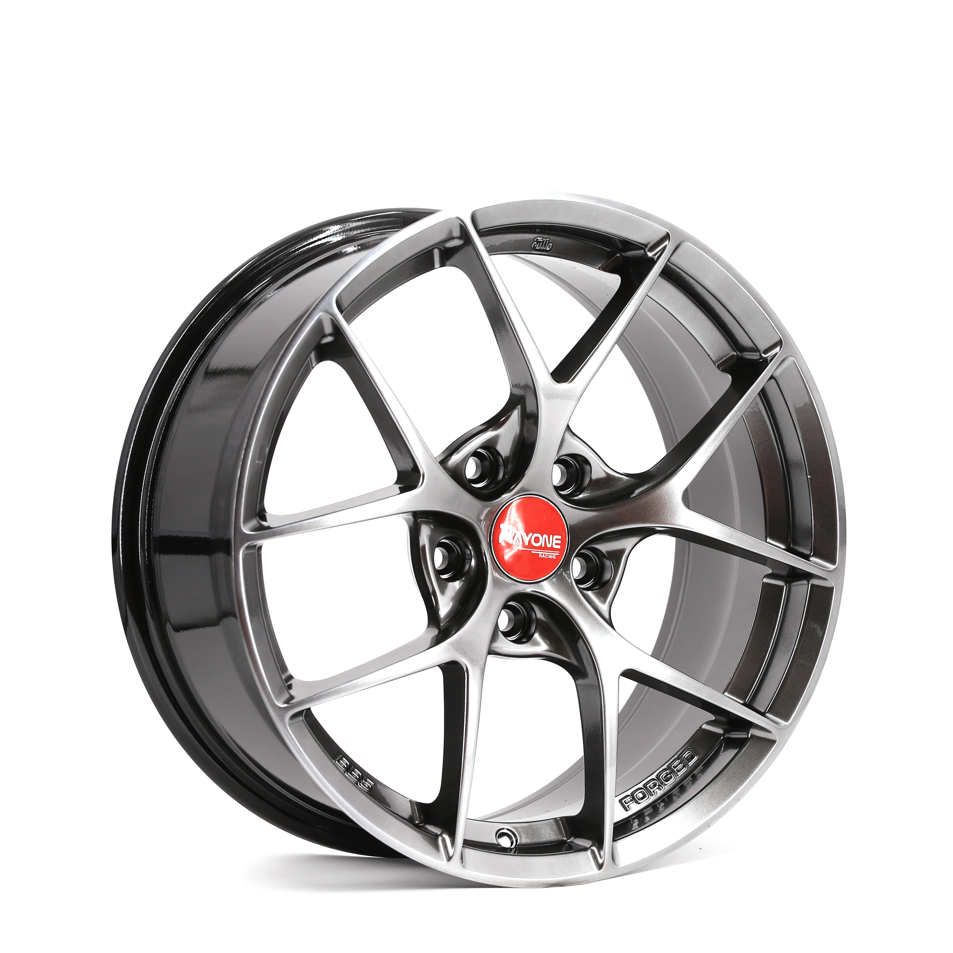 Cheapest Price Mustang Forged Wheels - Popular New Design OEM/ODM Car Alloy Wheels For Sedan And Sport Car – Rayone