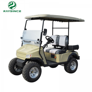 Hot Sale for E Car Golf Cart - GCD-1200 Raysince latest model two seats electric golf carts – Raysince