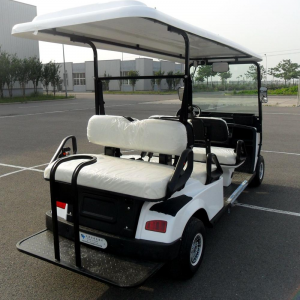 GCD-1200 Raysince latest model two seats electric golf carts