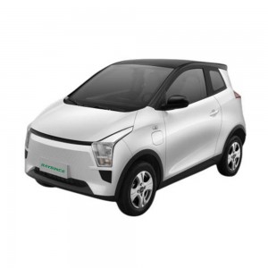 New Fashion Design for Revenge Of The Electric Car - 2022 Latest Model China electric car with two doors – Raysince