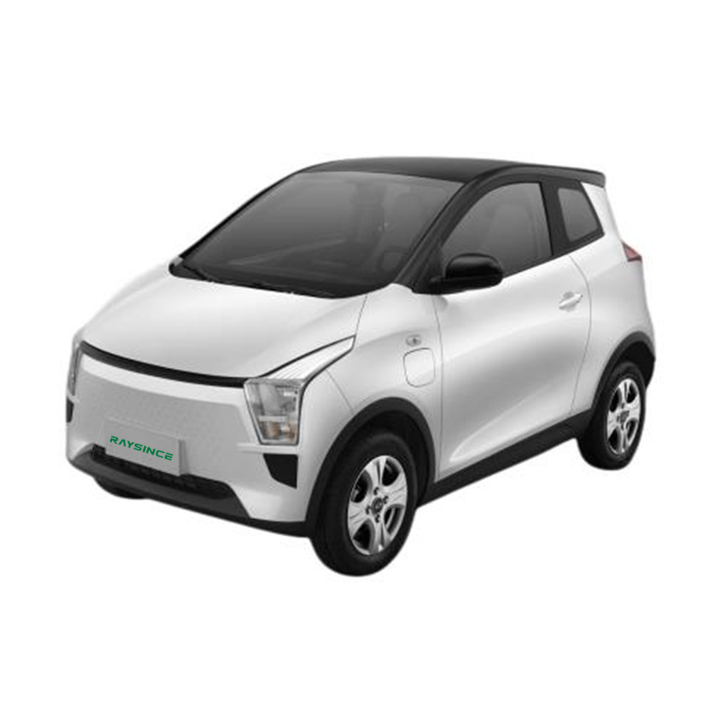 2022 Latest Model China electric car with two doors Featured Image
