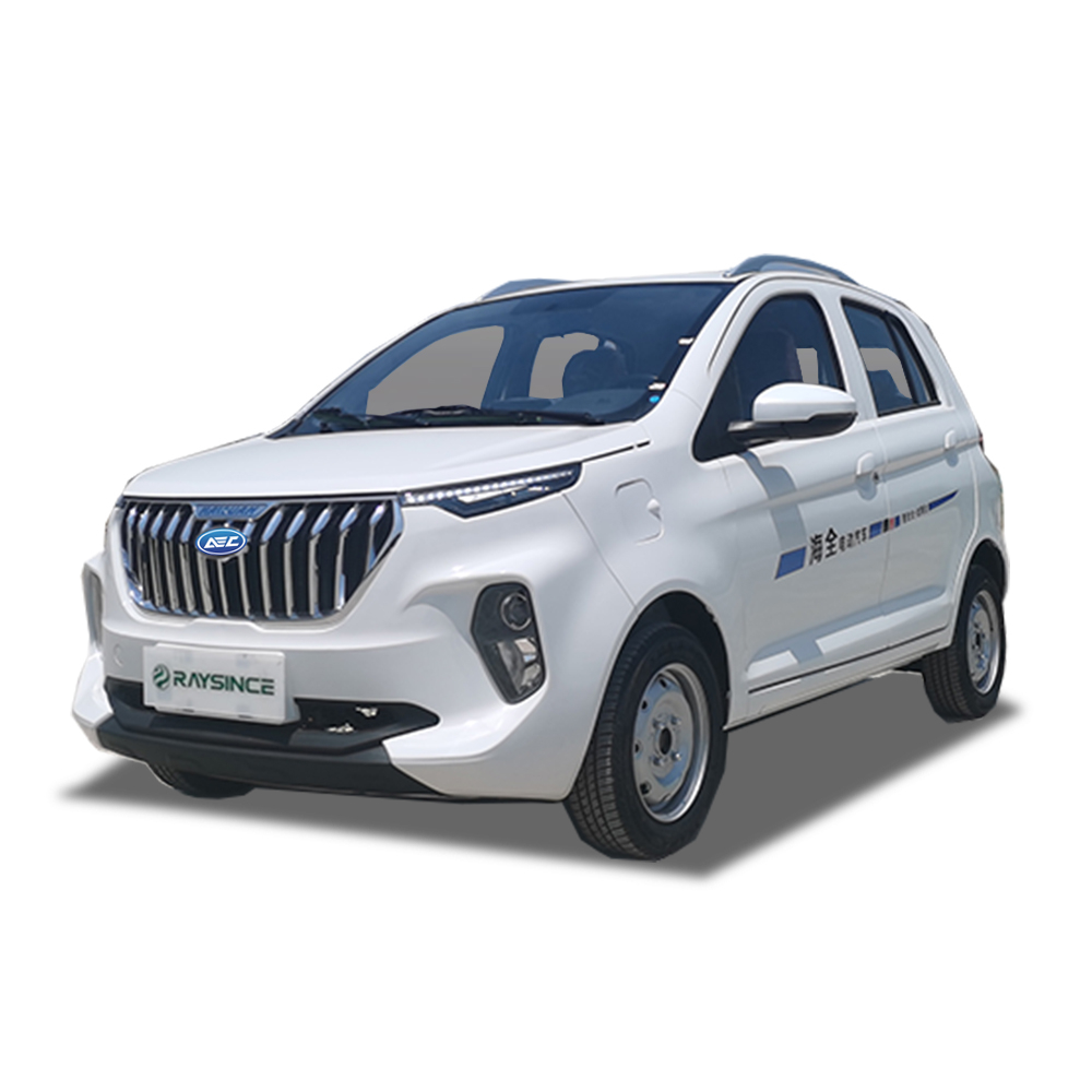 EC-350 Raysince New Arrival High Speed Electric SUV Car Featured Image