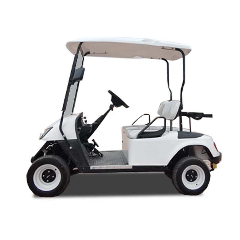 Massive Selection for Enclosed Electric Golf Cart GCM1200 Electric