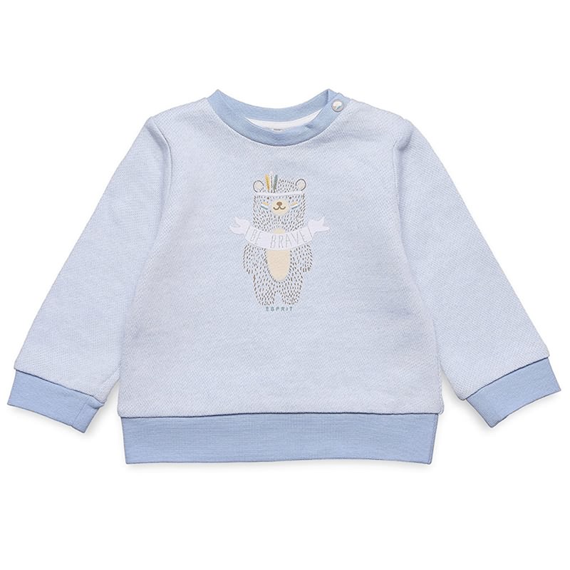Hot New Products Baby Girl Sweatshirts – Sweat shirts Oversized Sweater Hoodies Custom Logo Embroidered 100% Cotton Sweatshirts for Men and Kids – Ruidesen